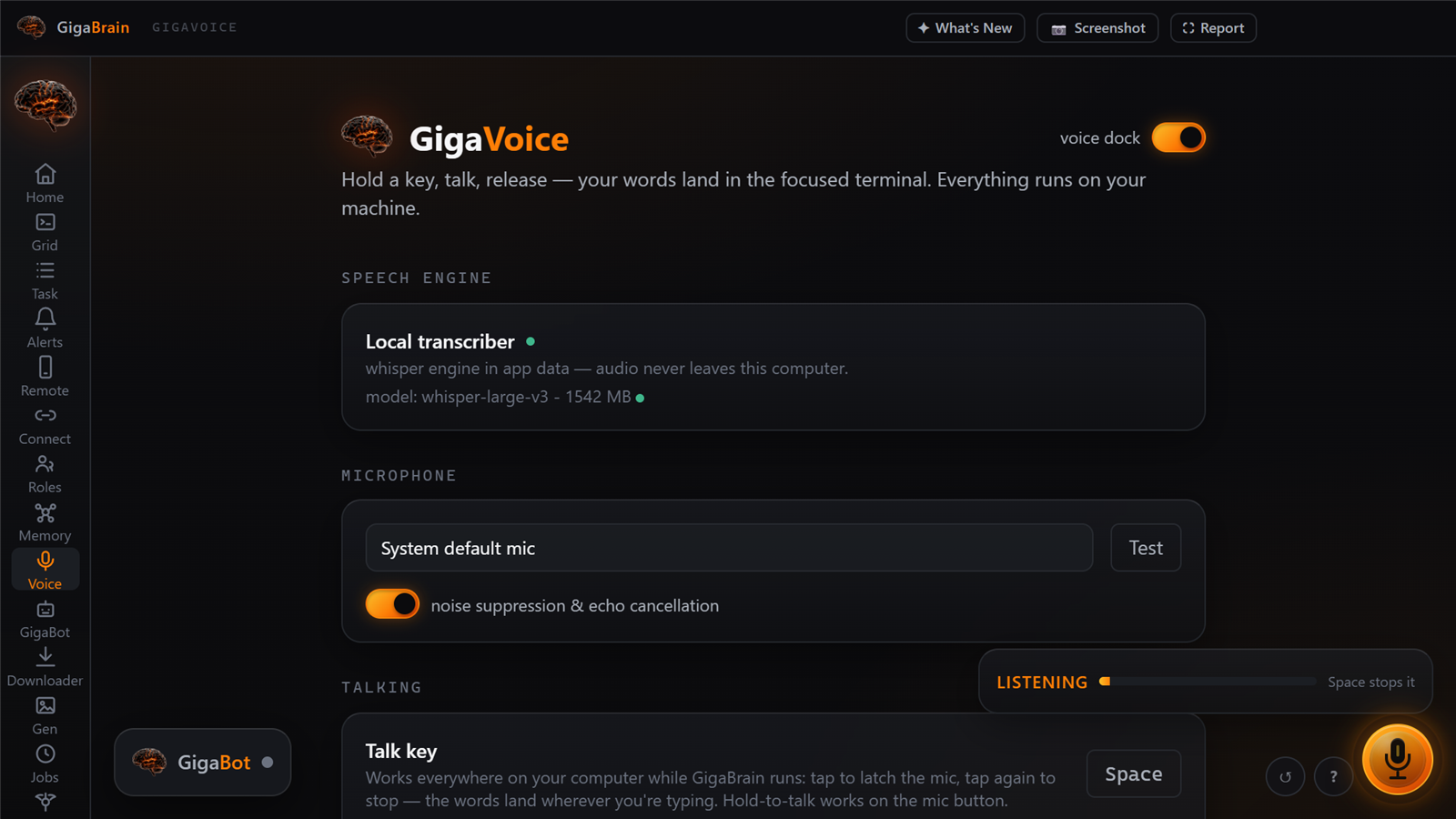 GigaVoice
